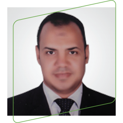 Mohammed Gamal Mohammed Gamal